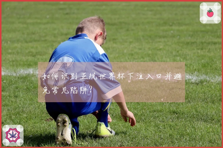 如何识别正规世界杯下注入口并避免常见陷阱？