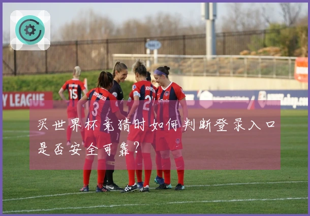 买世界杯竞猜时如何判断登录入口是否安全可靠？
