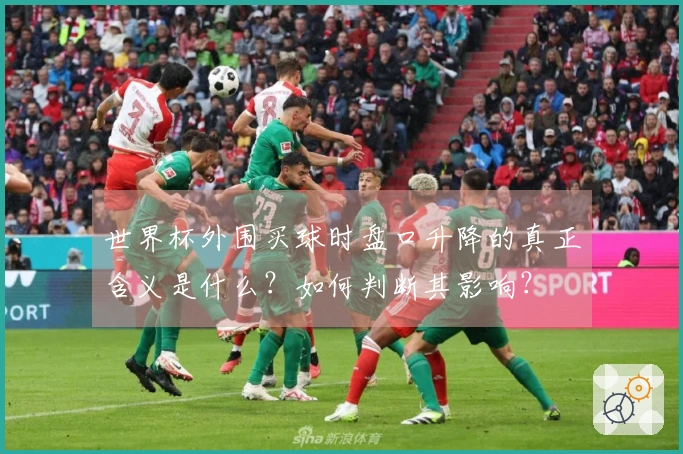 世界杯外围买球时盘口升降的真正含义是什么？如何判断其影响？